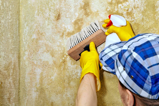 Best Residential Mold Inspection & Testing  in Watsonville, CA